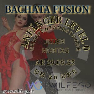 Bachata Anfänger Level 0 Nürnberg