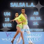 SALSA ANFÄNGER NÜRNBERG